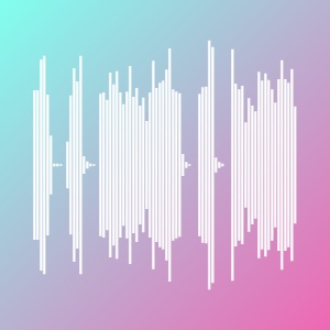 imanbek style bass loop waveform